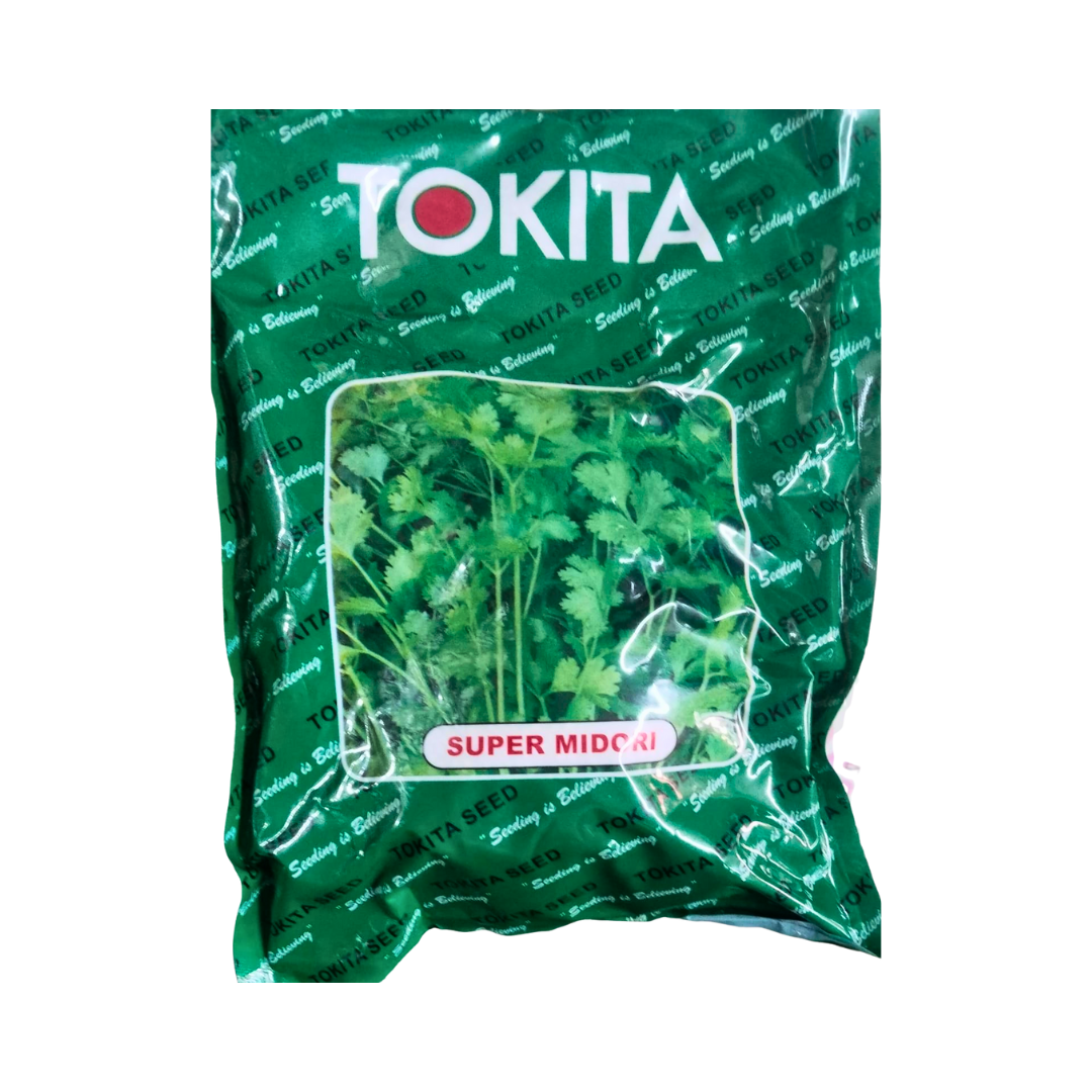 Super Midori Coriander Seeds - Tokita | Buy Online at Best Price Now