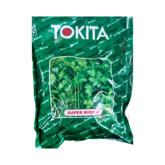 Super Midori Coriander Seeds - Tokita | Buy Online at Best Price Now