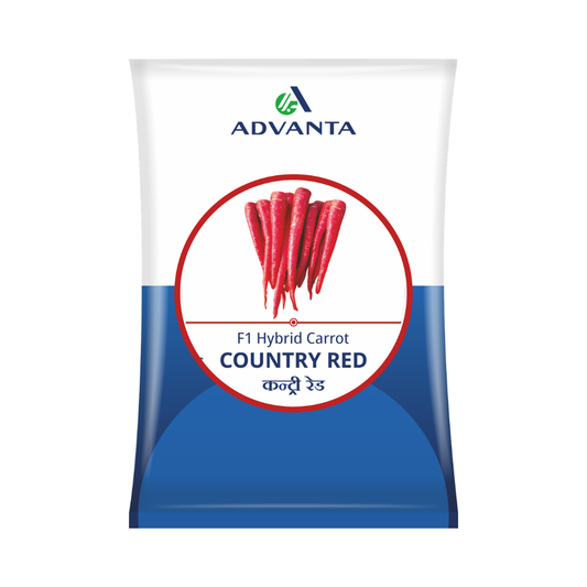 Country Red Carrot Seeds - Advanta | F1 Hybrid | Buy Online at Best Price