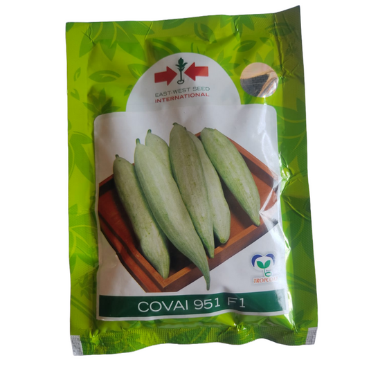Covai - 951 Snake Gourd Seeds - East West | F1 Hybrid | Buy Online at Best Price
