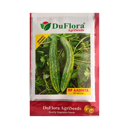 DF Aadhya (Improved) Cucumber Seeds - DuFlora | Buy Online  - DesiKheti