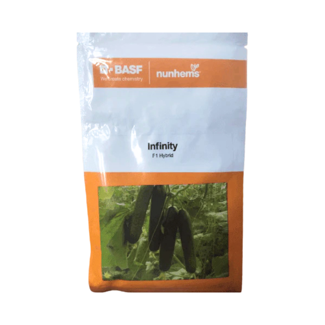 Infinity Seeds Infinity Cucumber Seeds - Nunhems | F1 Hybrid | Buy Online - DesiKheti ...