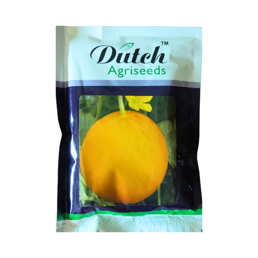 S.Sheetal Cucumber Seeds - Dutch Agriseeds | F1 Hybrid | Buy Online at Best Price