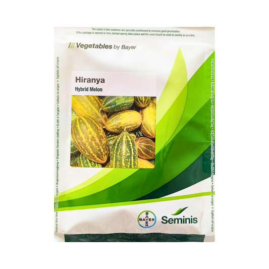 Hiranya Cucumber Seeds - Seminis | F1 Hybrid | Buy Online at Best Price