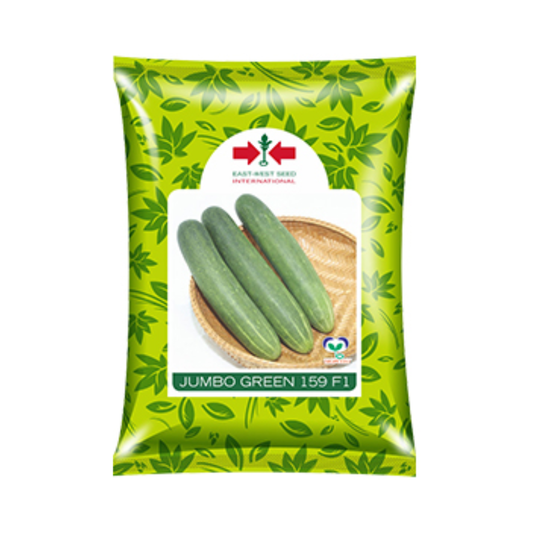Jumbo Green Cucumber Seeds - East West | F1 Hybrid | Buy Online - DesiKheti