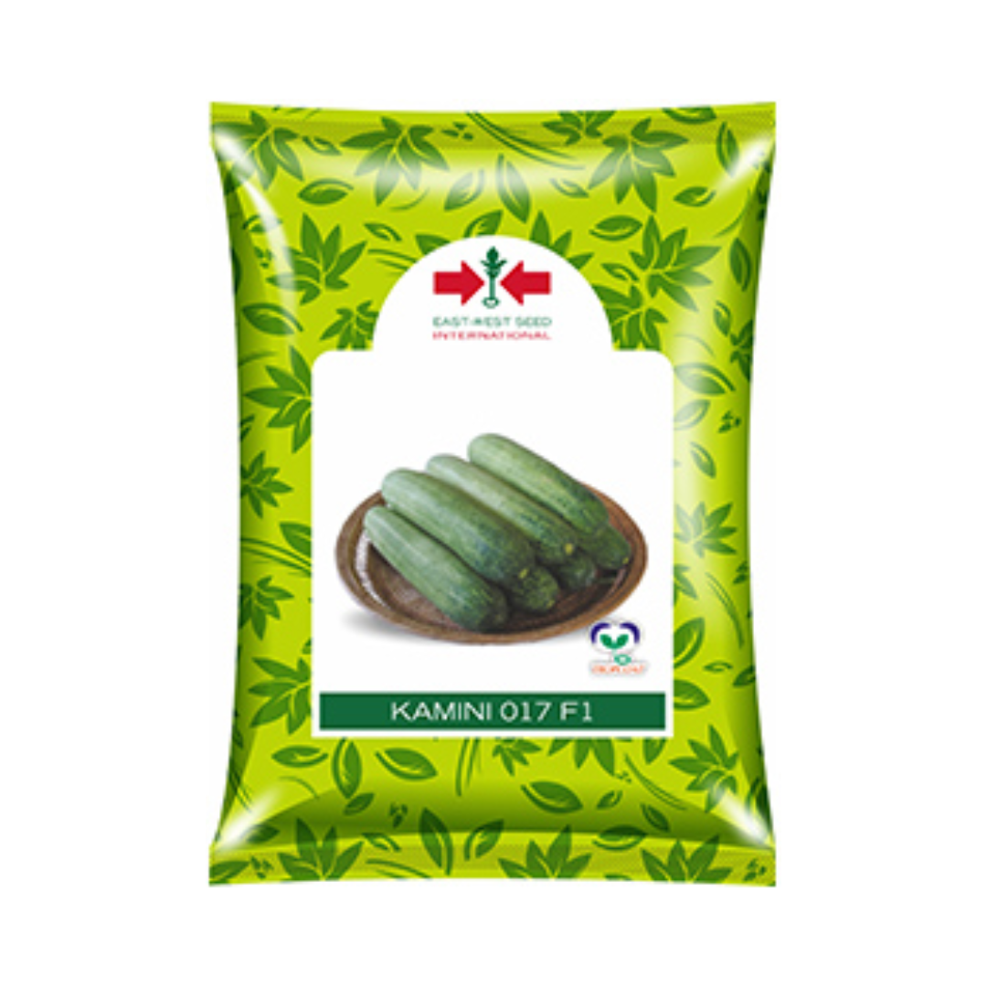 Kamini Cucumber Seeds - East West | F1 Hybrid | Buy Online - DesiKheti