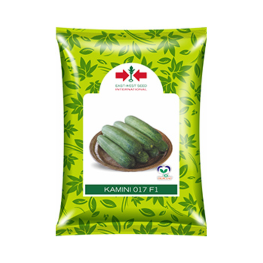 Kamini Cucumber Seeds - East West | F1 Hybrid | Buy Online - DesiKheti