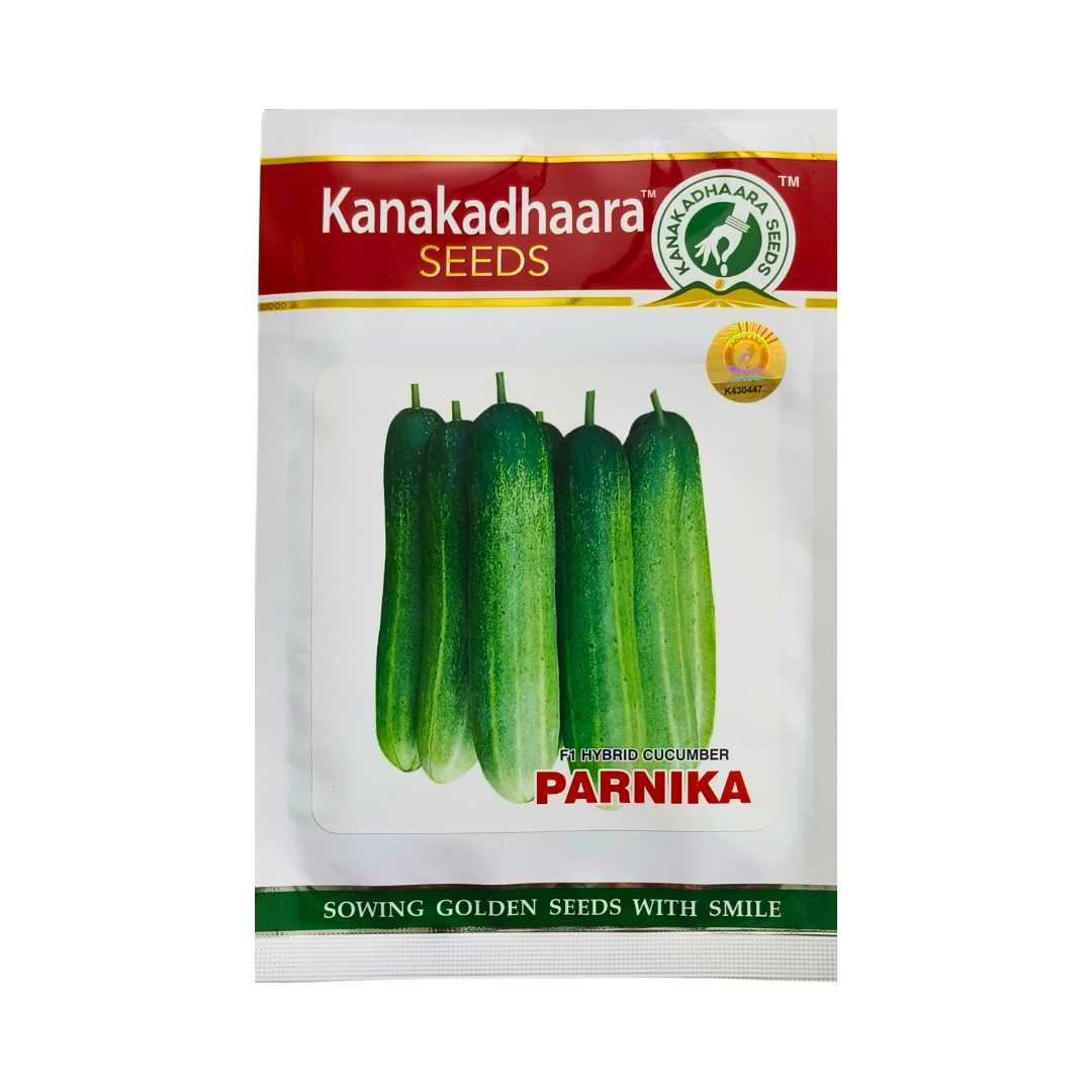 Parnika Cucumber Seeds - Kanakadhaara Seeds | Buy Online Now