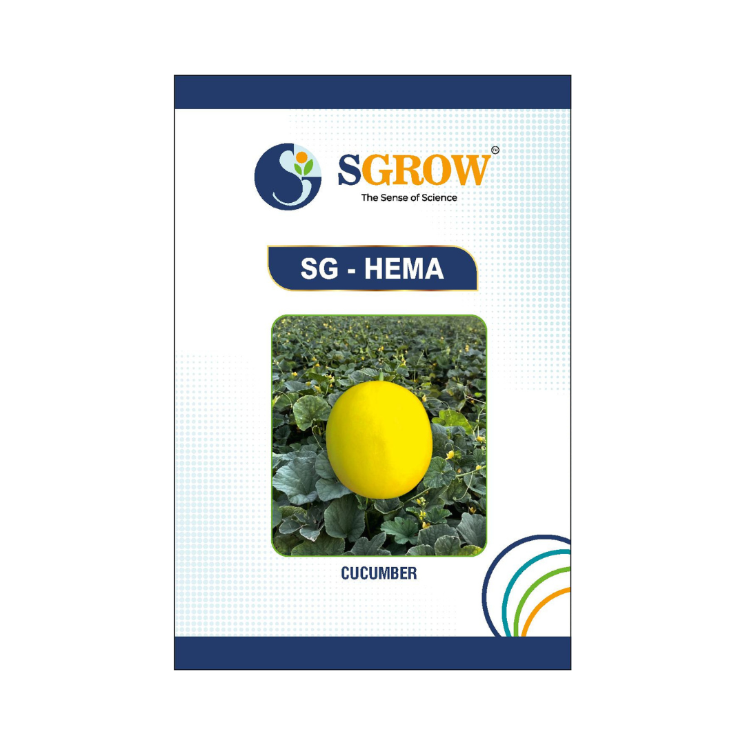 SG-Hema Cucumber Seeds - SGrow | Buy Online at Best Price Now