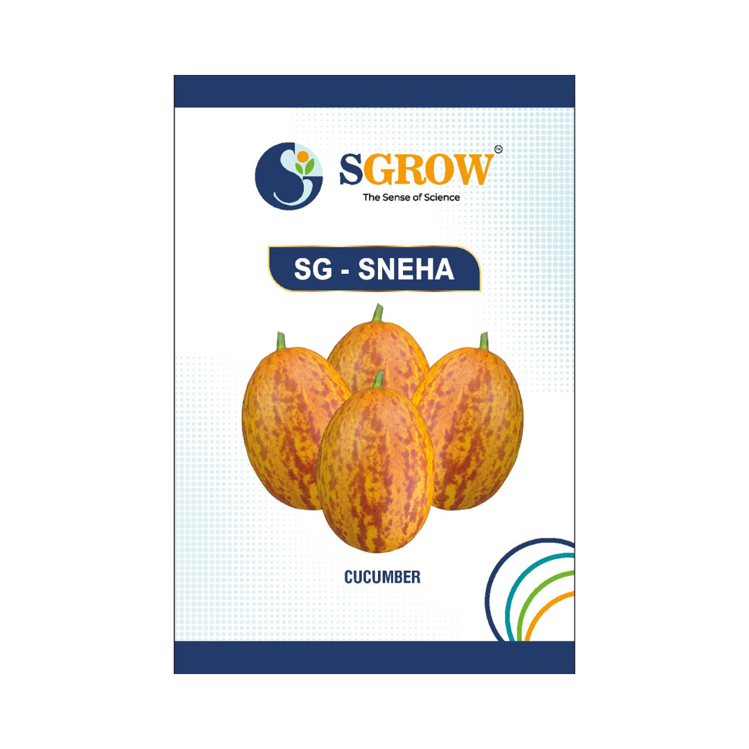 SG-Sneha Cucumber Seeds - SGrow | Buy Online at Best Price Now