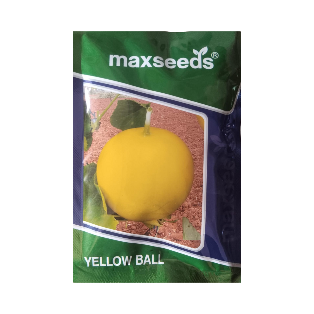 Yellow Ball Cucumber Seeds - Max | F1 Hybrid | Buy Online - DesiKheti