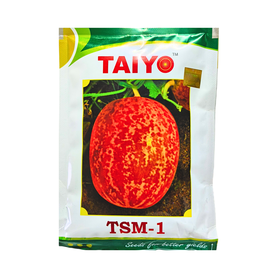 TSM-1 Cucumber Seeds - Taiyo | Buy Online at Best Price in India
