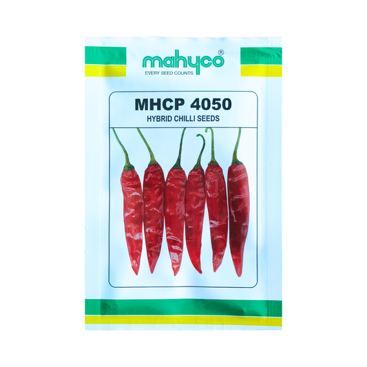 MHCP 4050 Chilli Seeds - Mahyco | F1 Hybrid | Buy Online at Best Price