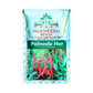 Palnadu Hot Chilli Seeds - Nuziveedu | F1 Hybrid | Buy Online Now