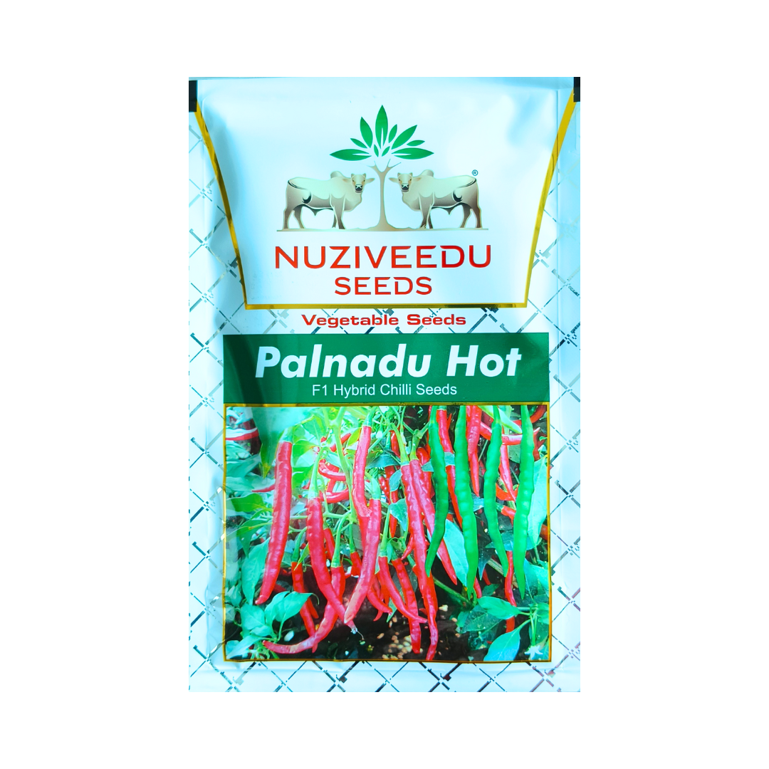 Palnadu Hot Chilli Seeds - Nuziveedu | F1 Hybrid | Buy Online Now