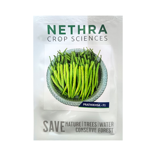Prathiksha Chilli Seeds - Nethra Crop Sciences | F1 Hybrid | Buy Now