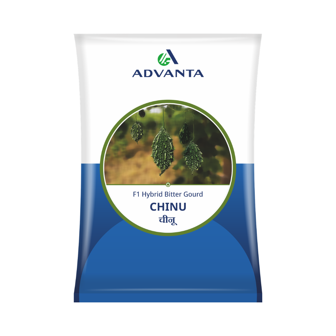 Chinu Bitter Gourd Seeds - Advanta | F1 Hybrid | Buy Online Now