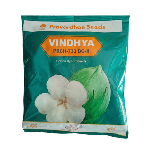 Vindhya Cotton Seeds - Pravardhan | F1 Hybrid | Buy Online - DesiKheti