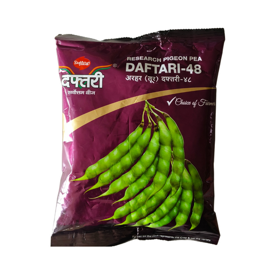 Daftari-48 Red Gram Seeds | Buy Online at Best Price - DesiKheti