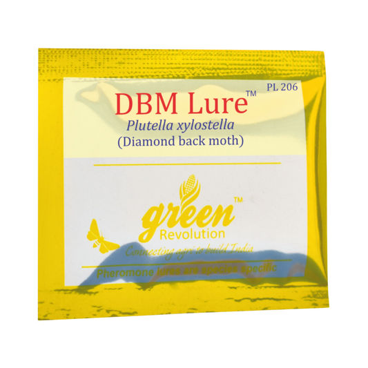 DBM Lure Plutella Xylostella (Pack of 10) - Green Revolution | Buy Now