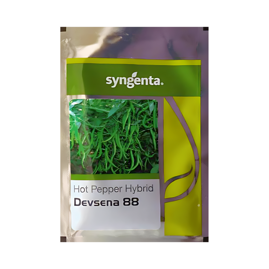 Devsena 88 Chilli Seeds - Syngenta | F1 Hybrid | Buy Online at Best Price