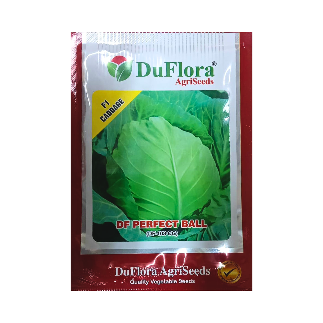 DF Perfect Ball Cabbage Seeds - DuFlora | F1 Hybrid | Buy Online at Best Price