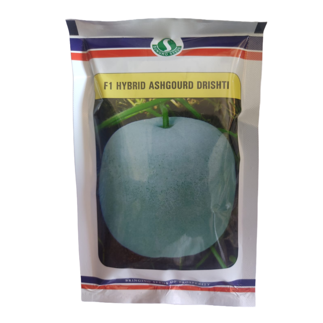 Drishti AshGourd Seeds - Sungro | F1 Hybrid | Buy Online at Best Price