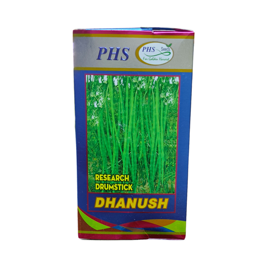 Dhanush Drumstick Seeds - PHS | F1 Hybrid | Buy Online at Best Price