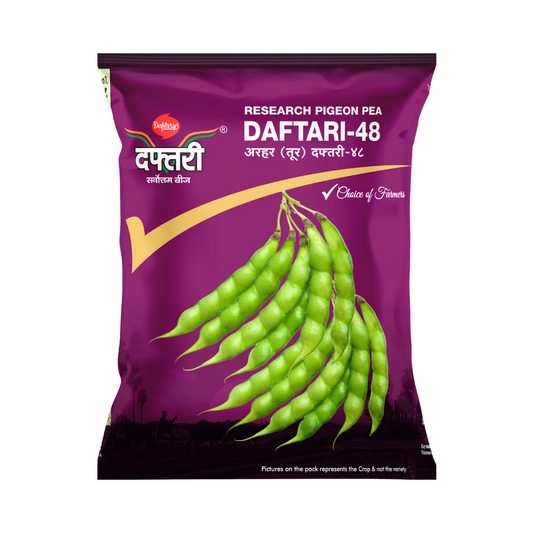 Daftari-48 Red Gram Seeds | Buy Online at Best Price - DesiKheti