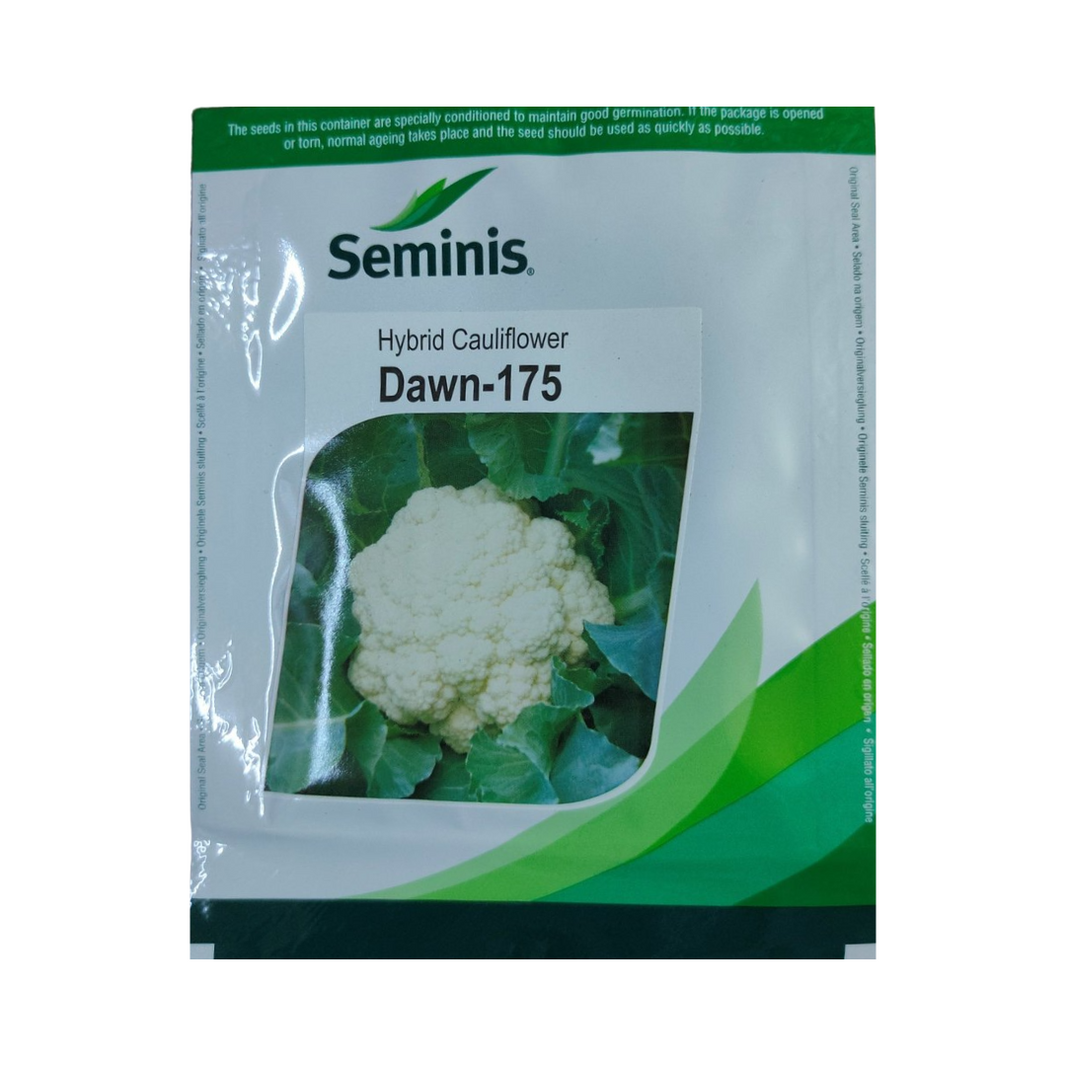 Seminis | Buy Online in India at Best Price | DesiKheti – Desikheti