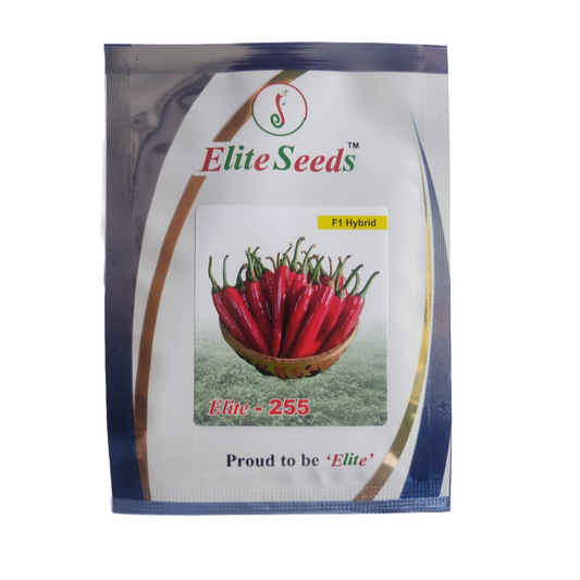 Elite - 255 Chilli Seeds | F1 Hybrid | Buy Online at Best Price