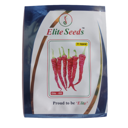 Elite - 466 Chilli Seeds | Buy Online At Best Price