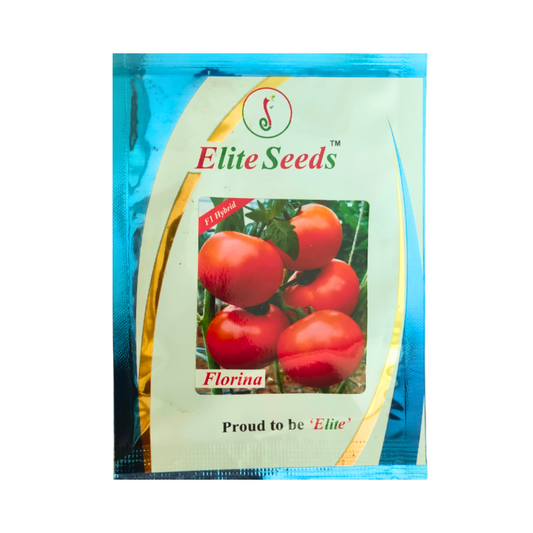 Florina Tomato Seeds - Elite | F1 Hybrid | Buy Online at Best Price