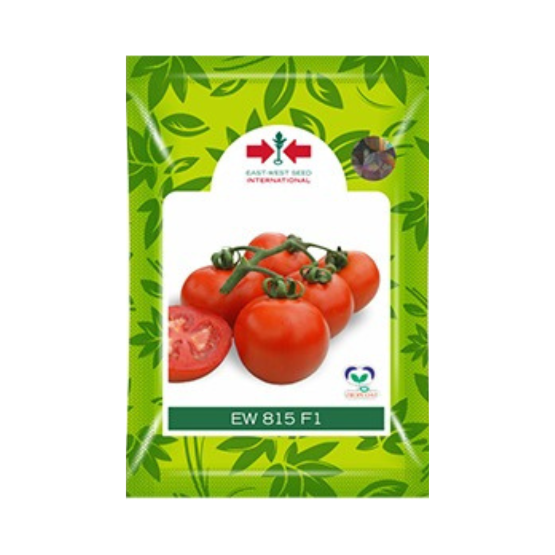 EW 815 Tomato seeds - East West | F1 Hybrid | Buy Online at Best Price