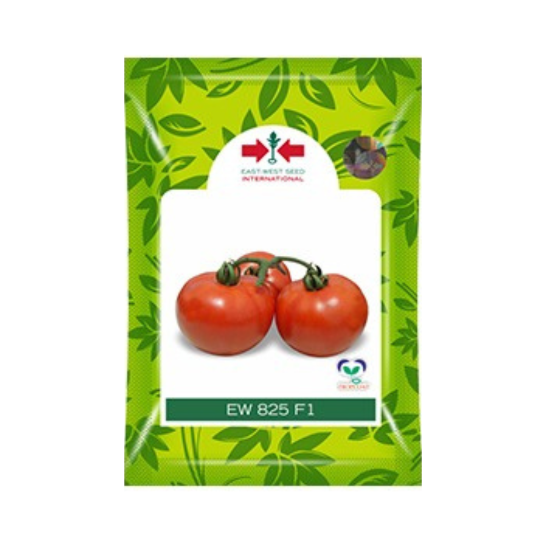 EW 825 Tomato seeds - East West | F1 Hybrid | Buy Online at Best Price