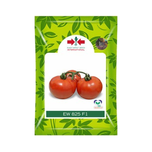 EW 825 Tomato seeds - East West | F1 Hybrid | Buy Online at Best Price