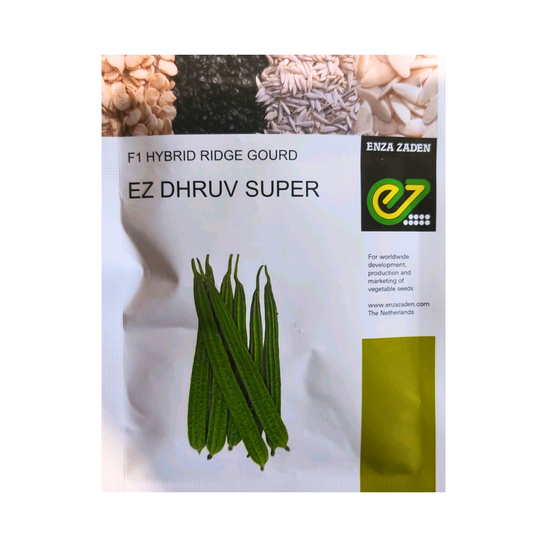 EZ Dhruv Super Ridge Gourd Seeds - Enza Zaden | F1 Hybrid | Buy Online Now