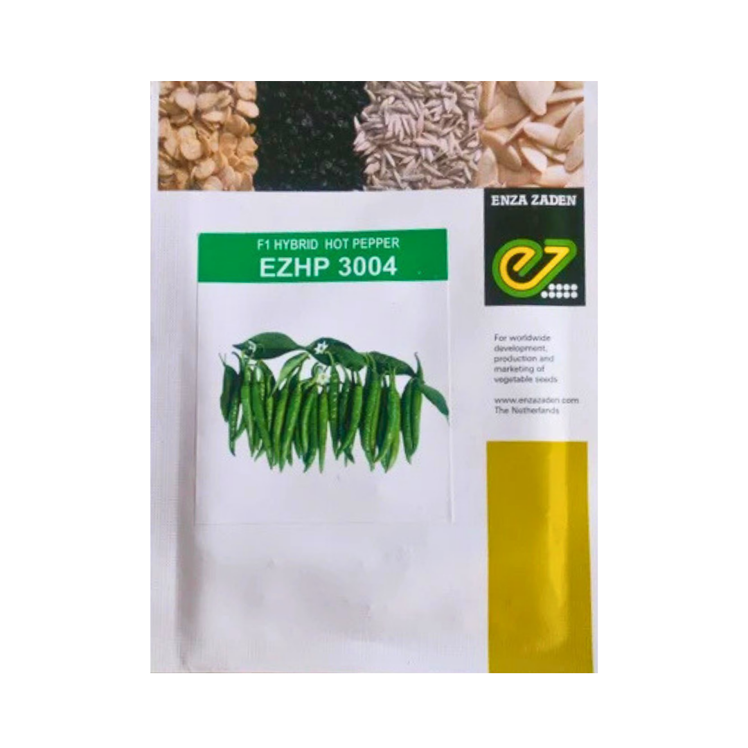 EZ HP 3004 chilli seeds - Enza Zaden | F1 Hybrid | Buy Online at Best Price