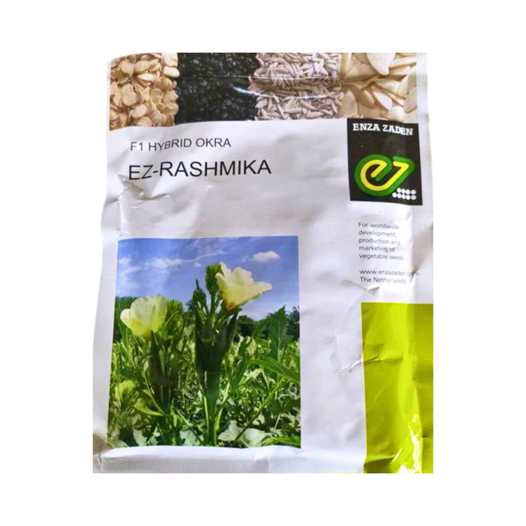 EZ Rashmika Bhendi Seeds - Enza Zaden | F1 Hybrid | Buy Online - DesiKheti