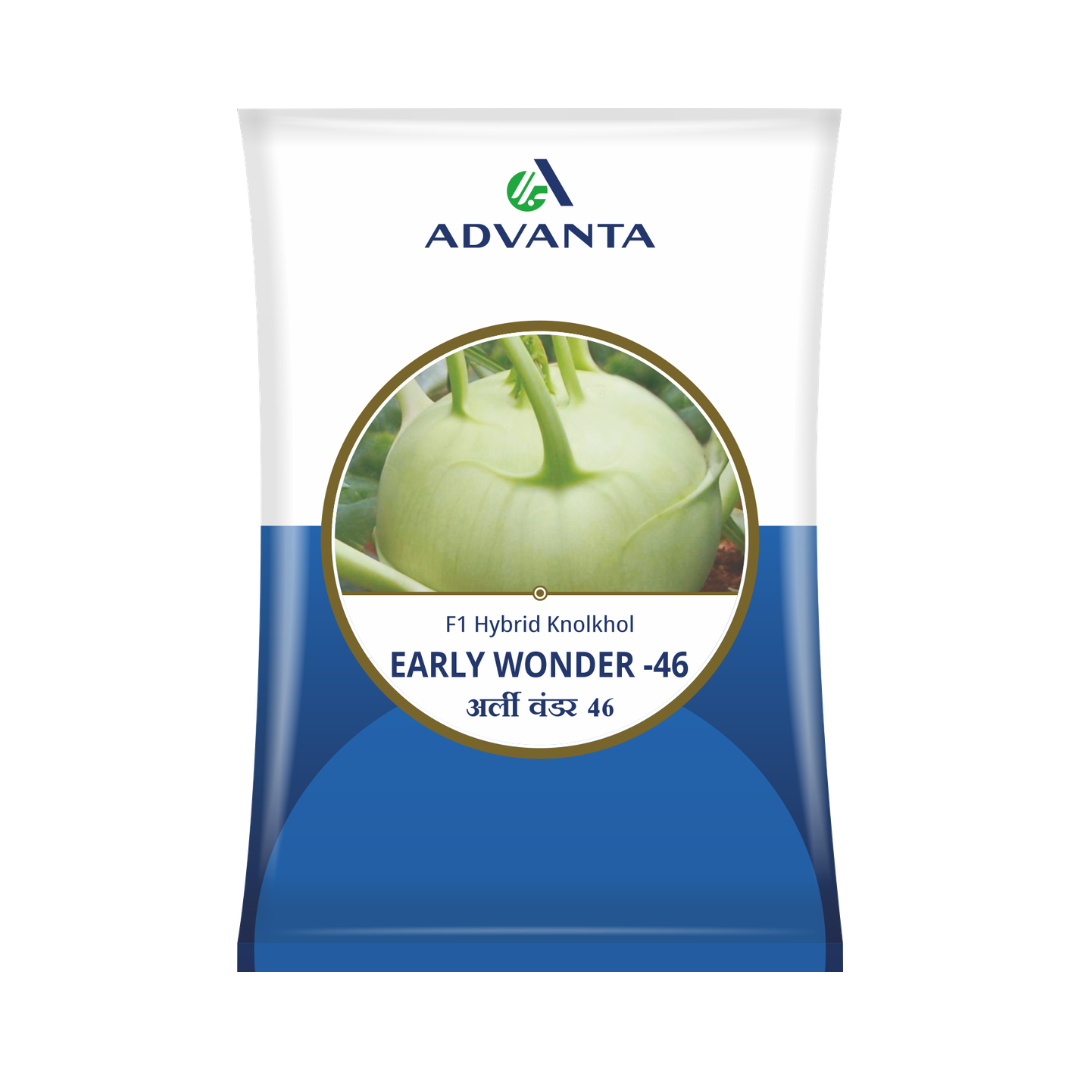 Early Wonder 46 Knol Khol Seeds - Advanta | F1 Hybrid | Buy Online Now