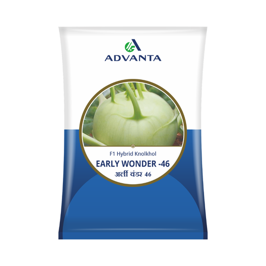 Early Wonder 46 Knol Khol Seeds - Advanta | F1 Hybrid | Buy Online Now