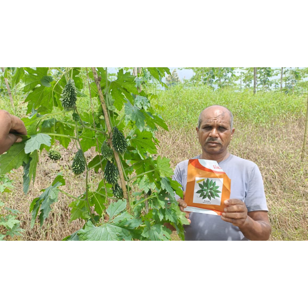 Batuk Bitter Gourd Seeds - Vachan | F1 Hybrid | Buy Online Now