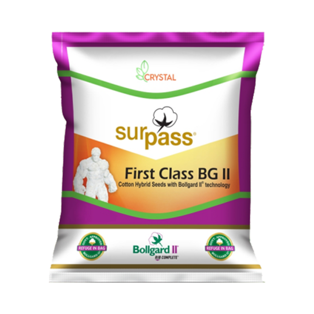 First Class (SP 7149) BG II Cotton Seeds - Crystal | F1 Hybrid | Buy Online Now