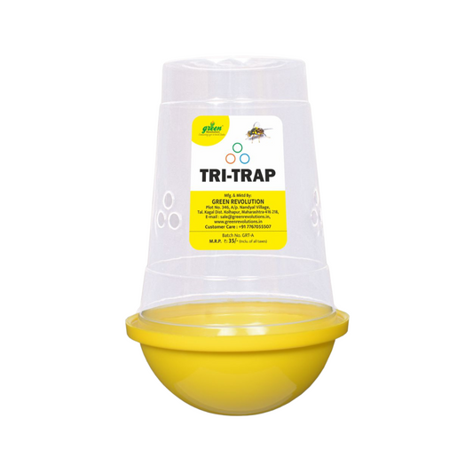 Fruit Fly Trap/ Tri Trap for All Fruits & Vegetables Crop - Green Revolution