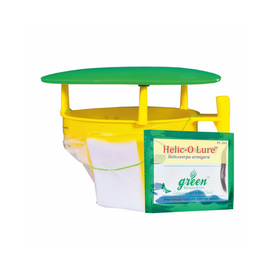 Funnel Trap With Helic-O Lure - Green Revolution | Buy Online Now
