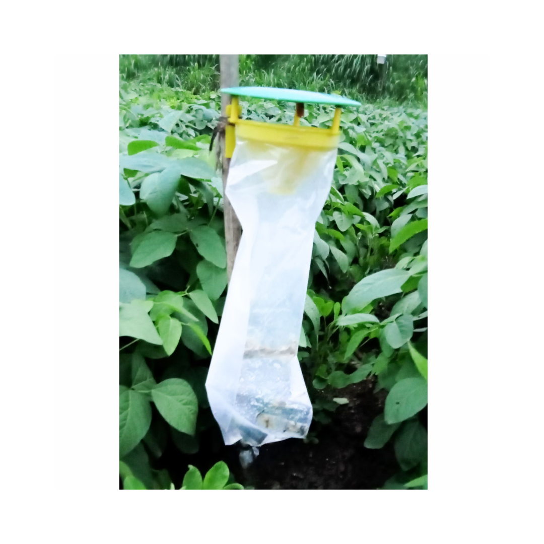 Funnel Trap With Helic-O Lure - Green Revolution | Buy Online Now