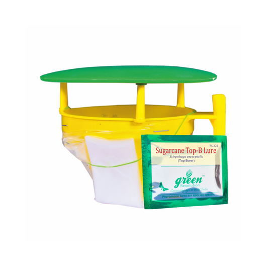 Funnel Trap With Sugarcane Top-B Lure - Green Revolution | Buy Online