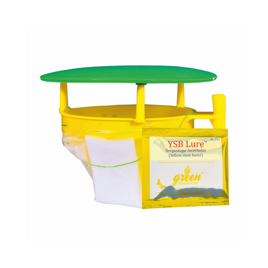 Funnel Trap With YSB Lure - Green Revolution | Buy Online Now