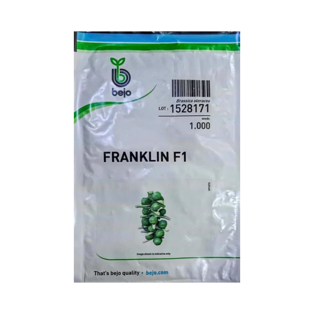 Franklin Brussels Sprouts Seeds - Bejo | F1 Hybrid | Buy Online Now