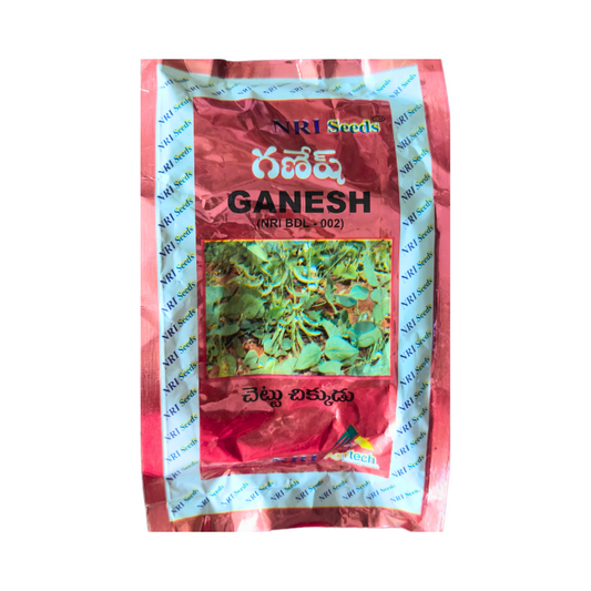 Ganesh Dolichos Seeds - NRI | F1 Hybrid | Buy Online at Best Price